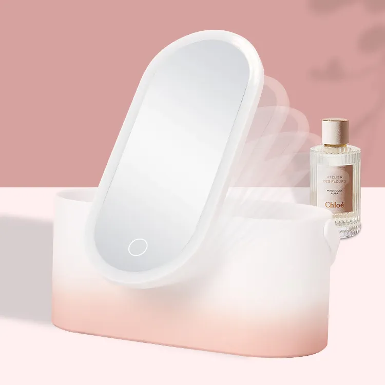 Travel Makeup Organizer Box with LED Light